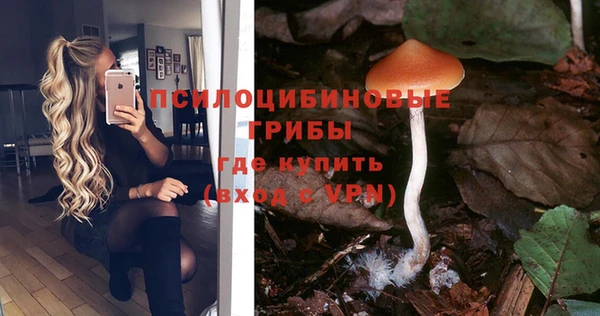 бутират Алексин